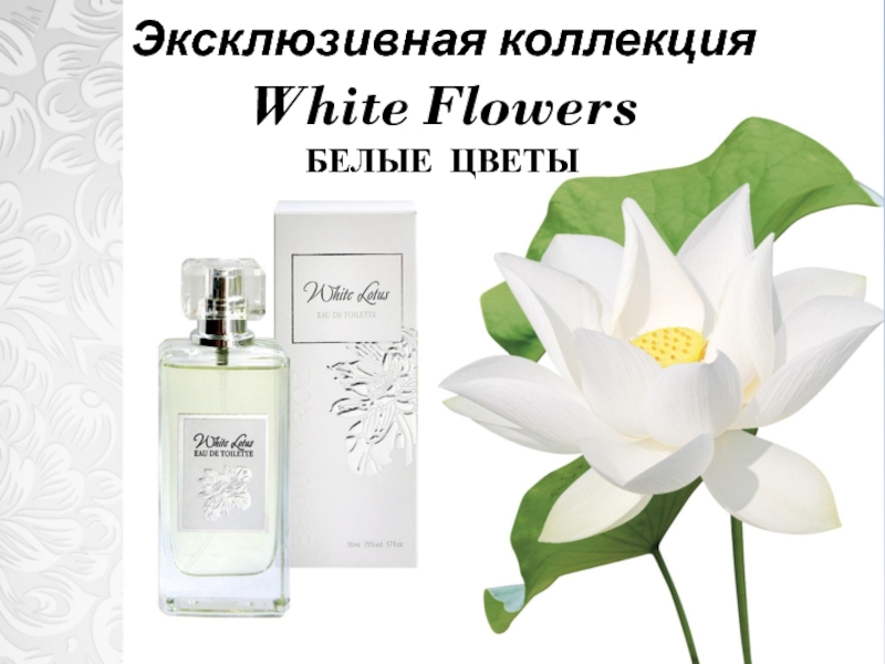 Эксклюзивная коллекция
White Flowers
БЕЛЫЕ ЦВЕТЫ