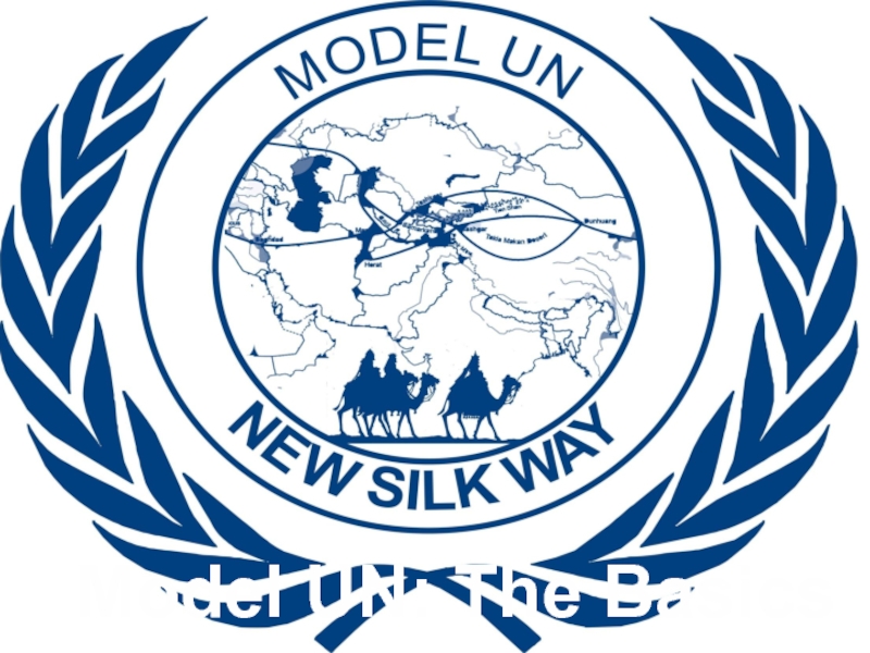 Model UN: The Basics