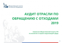 АУДИТ ОТРАСЛИ ПО ОБРАЩЕНИЮ С ОТХОДАМИ 2019