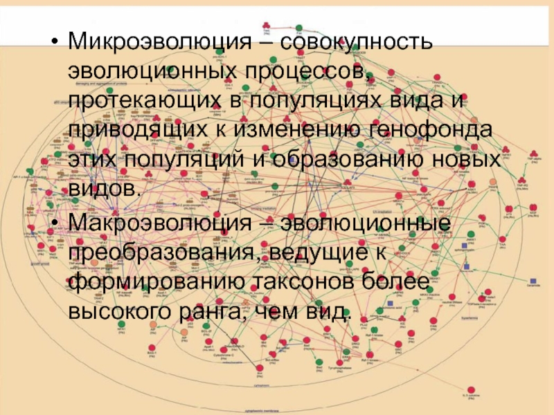 Микроэволюция это совокупность эволюционных процессов. Эволюционные процессы приводящие к образованию новых видов. Типы популяций. Эволюционные процессы ведущие к образованию таксонов. К чему приводит эволюционный процесс