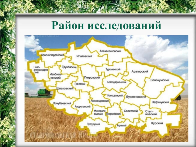 Карта тогучинского района новосибирской области