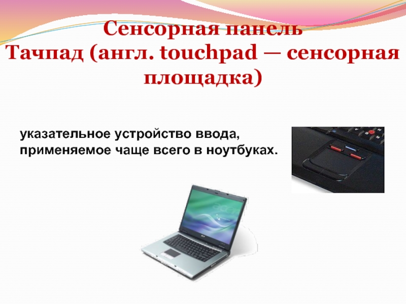 Сенсорная панель  Тачпад (англ. touchpad — сенсорная площадка)указательное устройство ввода, применяемое чаще всего в ноутбуках.