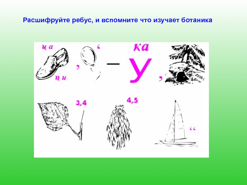 Ответ расшифровка