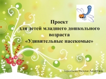 Проект
для детей младшего дошкольного возраста
Удивительные