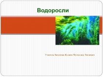 Водоросли