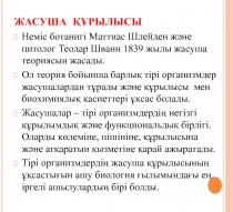 ЖАСУША ҚҰРЫЛЫСЫ