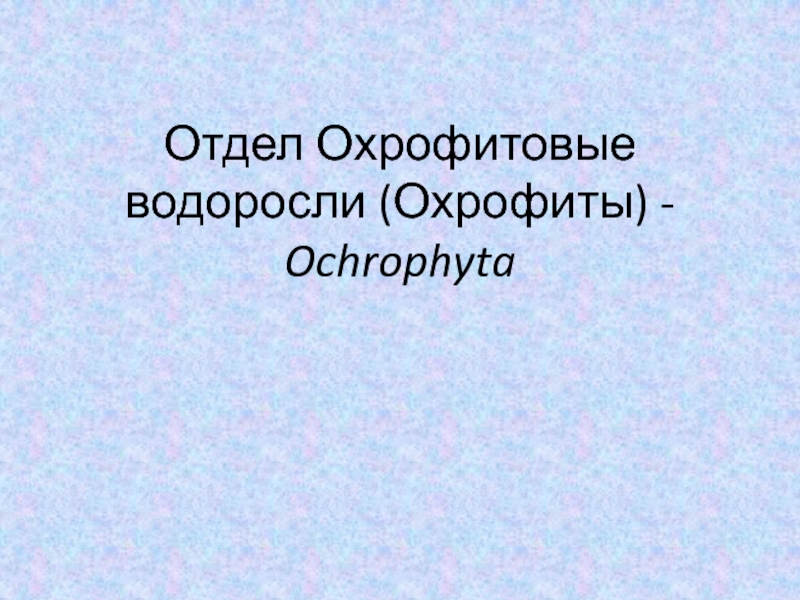Отдел Охрофитовые водоросли ( Охроф и ты ) - Ochrophyta
