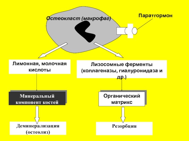 Обмен c