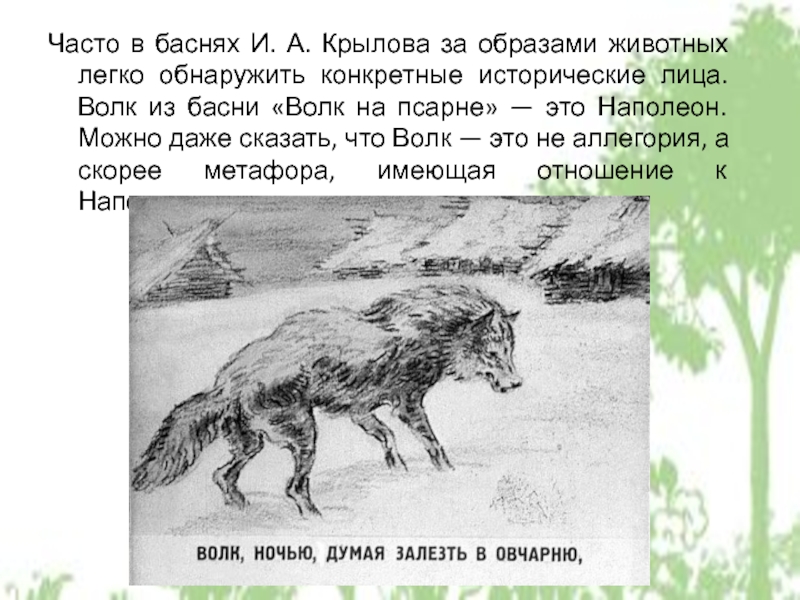 Образ волка в народных сказках и баснях крылова проект