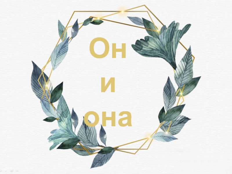 ОН и ОНА