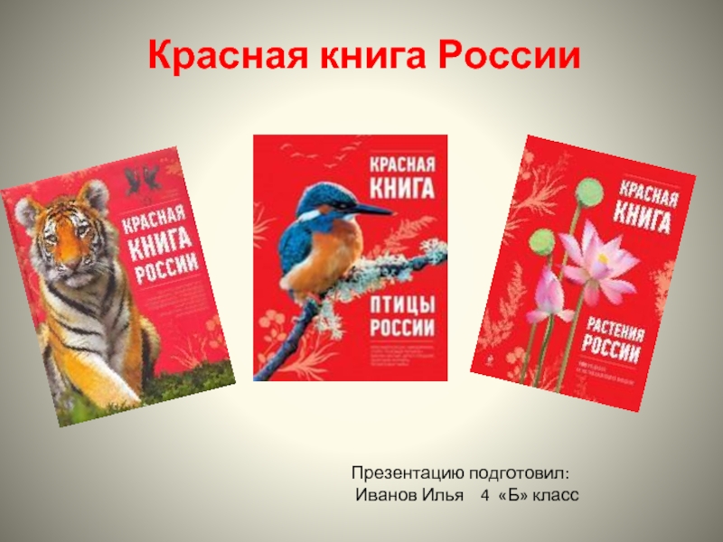 Презентация проект Красная книга России (4 класс) Окружающий мир
