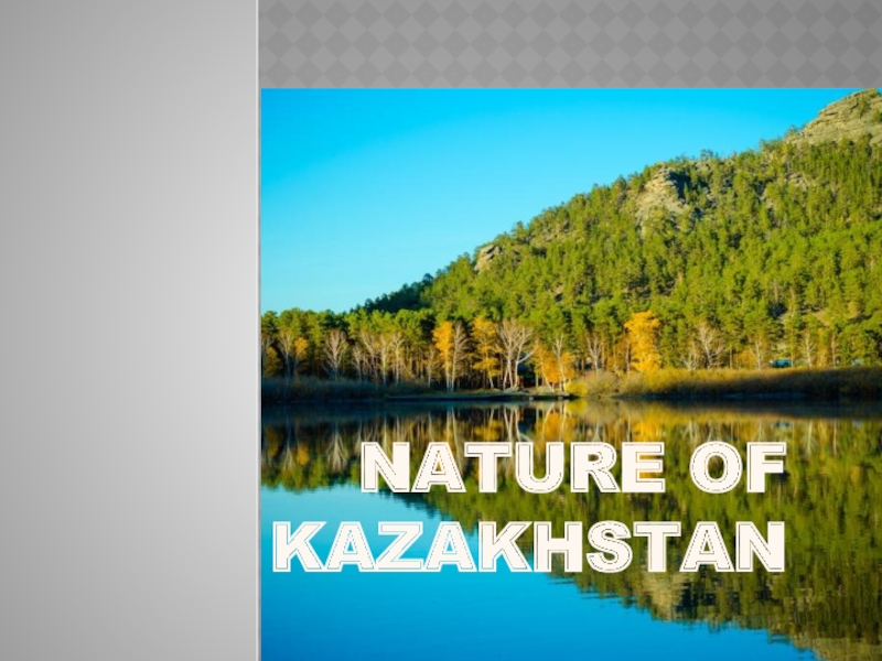 The wildlife of kazkahstan