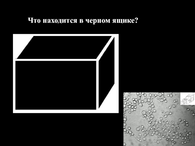 Что находится в черном ящике. Что находится в черной. Конкурс черный ящик. Что находится в черном ящике Мем.