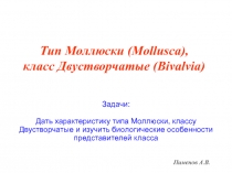 Пименов А.В.
Тип Моллюски ( Mollusca ), класс Двустворчатые