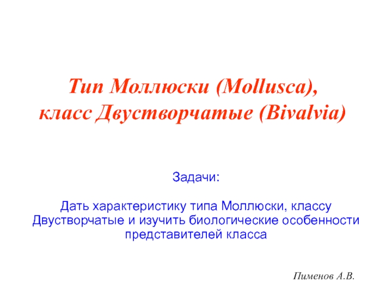 Презентация Пименов А.В.
Тип Моллюски ( Mollusca ), класс Двустворчатые