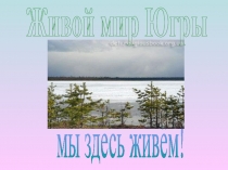 Живой мир Югры