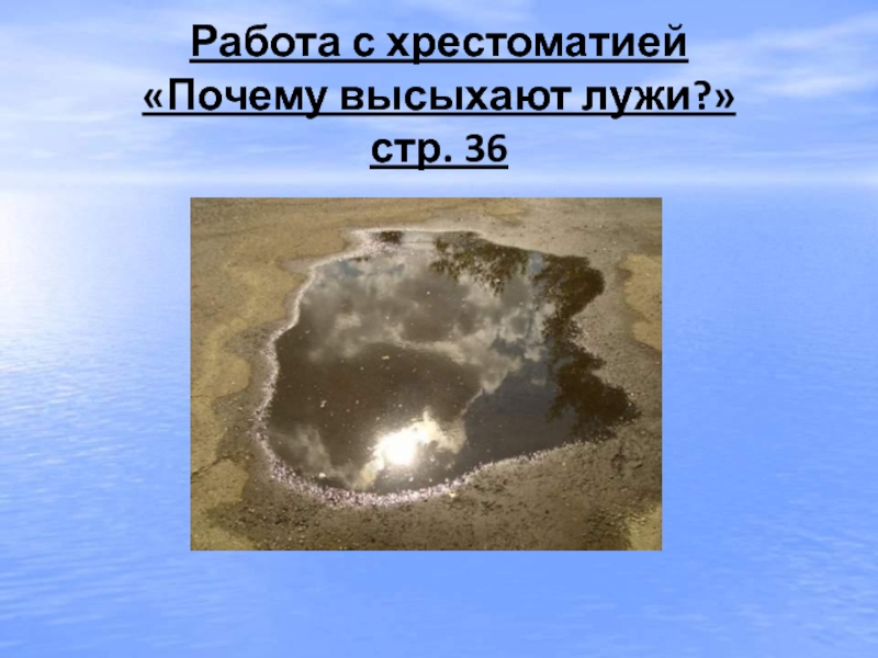 В какую погоду просыхают лужи от дождя. Почему высыхает лужа. Почему вода в лужах исчезает. Почему высохла лужа исследовательская работа. Почему высохла лужа проектная работа.