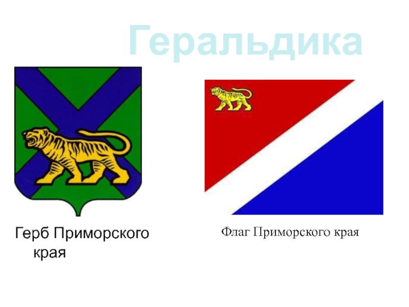 Герб приморского края. Герб и флаг Приморского края. Парадный герб Приморского края. Герб Приамурского края. Флаг Фокино Приморский край.