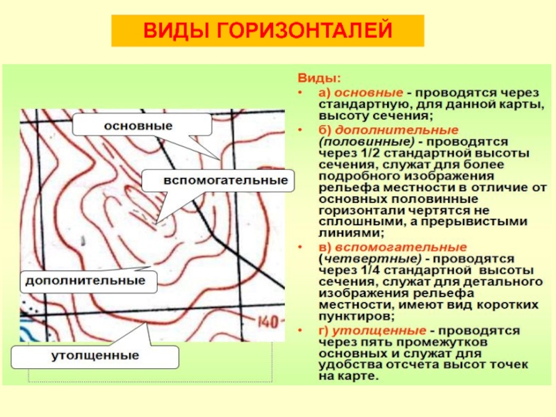 Сплошные горизонтали на плане местности