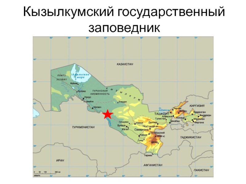 Карта узбекистана для презентации