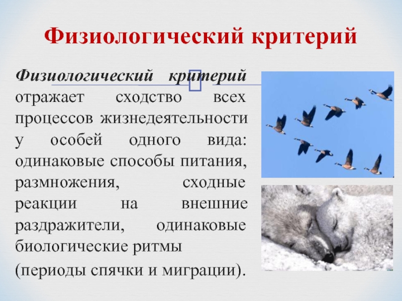 Значение изучения популяций и видов презентация 10 класс