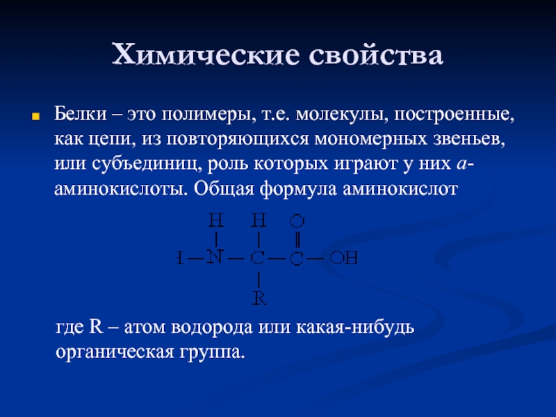 Мономерами молекул белков является