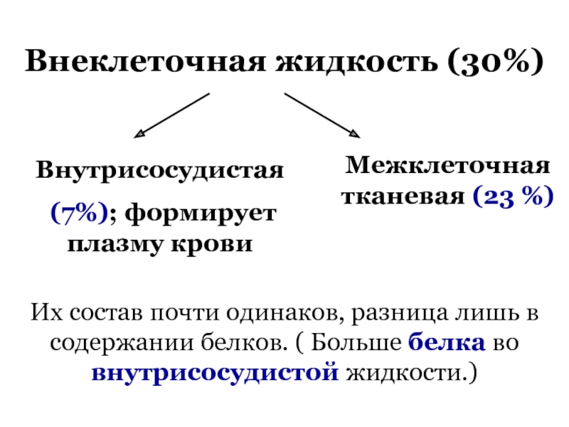 Жидкость формирует изображение