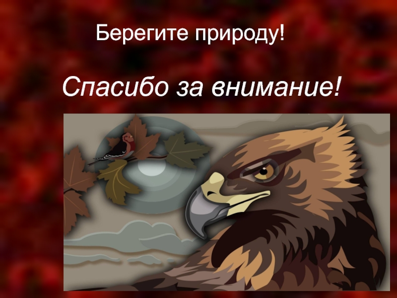 Спасибо за внимание берегите природу картинки для презентации