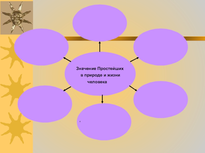 Многообразие и значение простейших в жизни человека. Значение простейших в природе и жизни человека. Схема значение простейших. Составить схему значение простейших. Значение простейших в жизни человека.