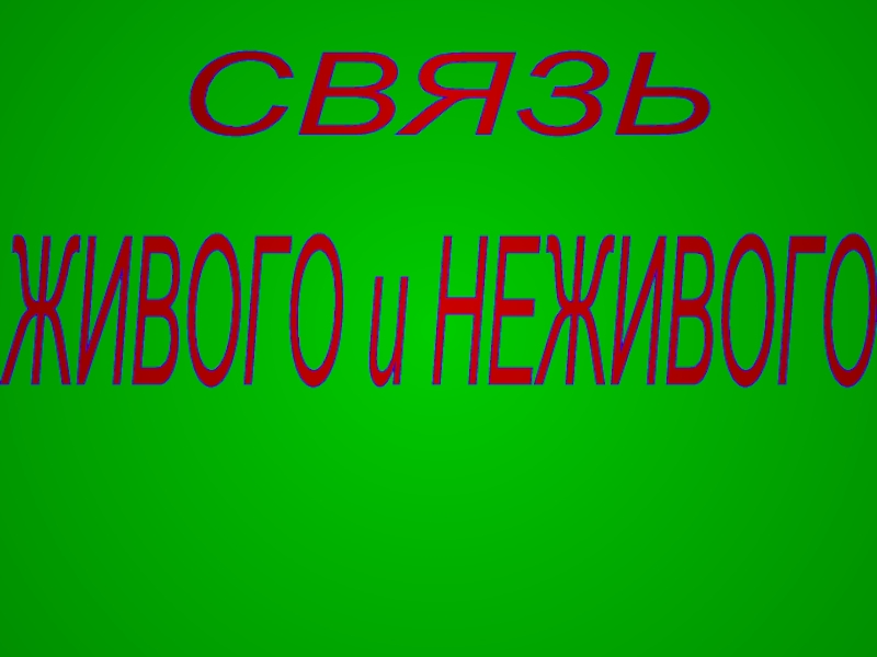 Живая связь