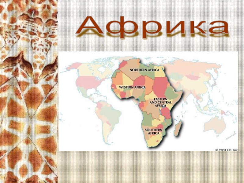 Презентация Африка. Страны и регионы.