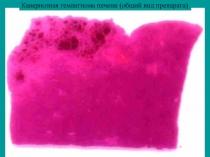 12 занятие.ppt
