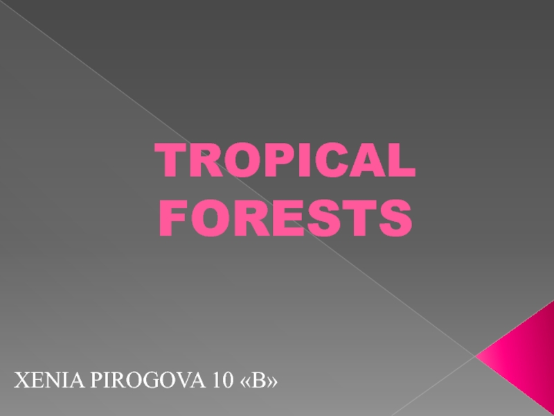 Презентация TROPICAL FORESTS
