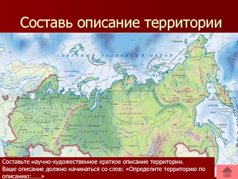 Крупные природные районы россии 8