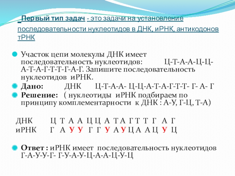 Презентация по биологии решение задач по молекулярной биологии