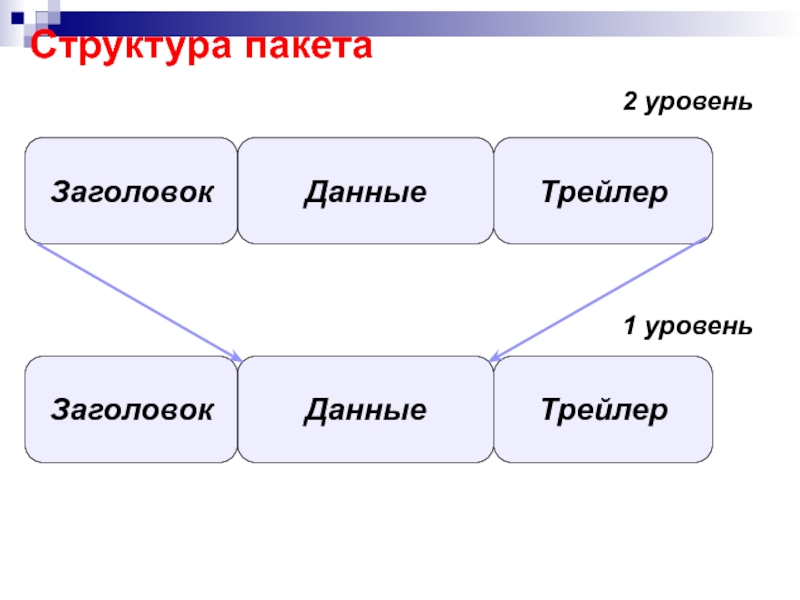 В 1 пакете давай. Структура пакета. Структура пакета информации. Состав пакета данных. Структура пакетов (кадров): Заголовок, данные, трейлер..