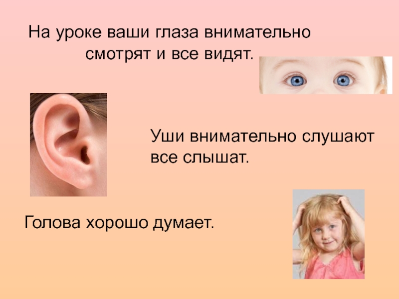 Слышу значит вижу. Слышать и видеть уши а глаза. Внимательно слушает на уроке. Глазами видим ушами слышим для детей. Хорошо уши слышат.