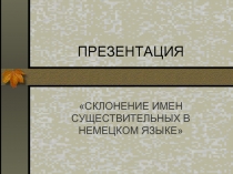 Склонение имен существительных в немецком языке