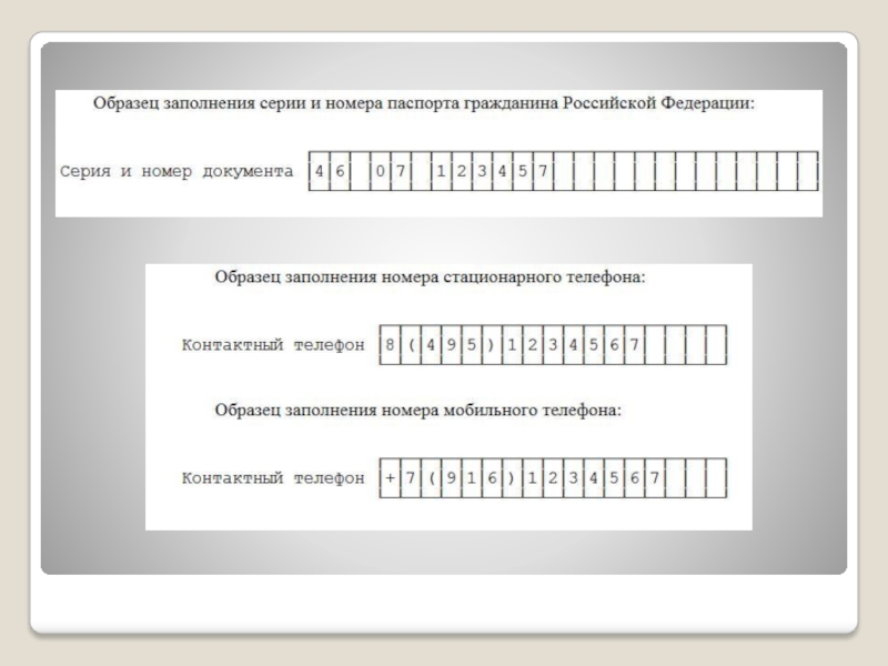 Презентация ип пример