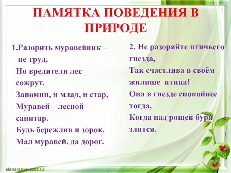 Правила поведения на природе 6 класс презентация