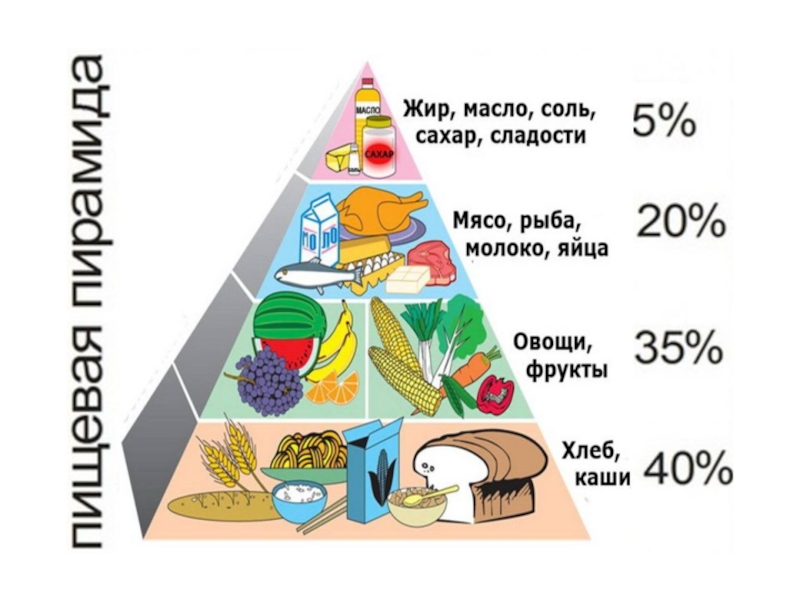 Схема рационального питания в процентах