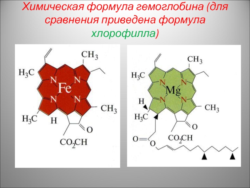 Химическая формула железа в химии. Химическая формула гемоглобина и хлорофилла. Хлорофилл формула химическая структура. Формула строения хлорофилла. Молекула хлорофилла формула.
