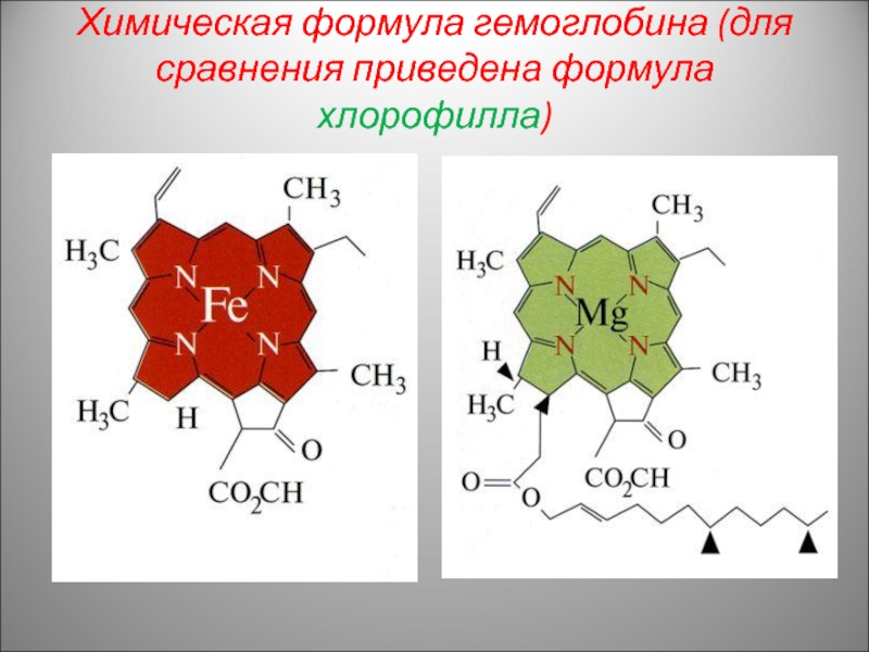 Молекула хлорофилла. Химическая формула хлорофилла и гемоглобина. Хлорофилл формула химическая структура. Структура хлорофилла. Формула строения хлорофилла.