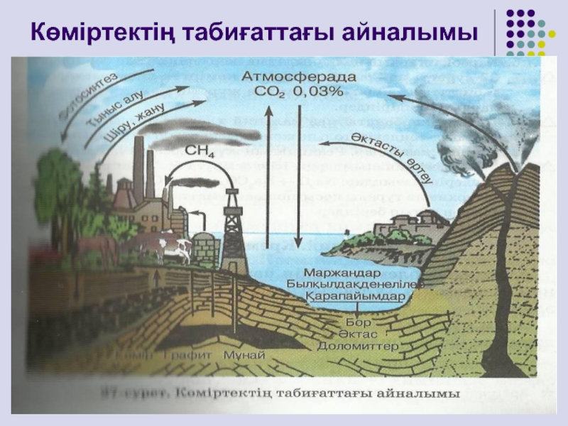 Табиғаттағы заттар айналымы 5 сынып жаратылыстану