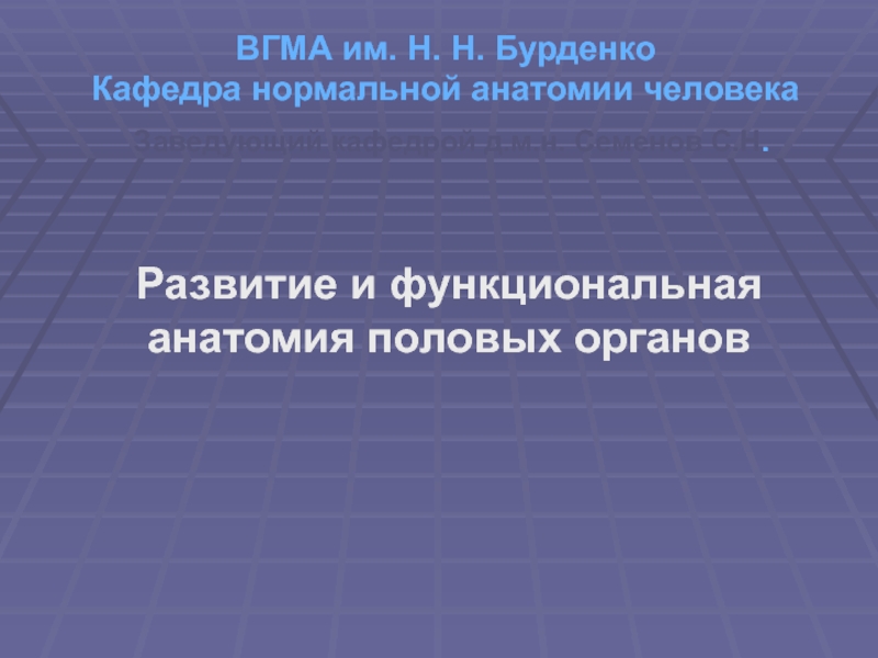 ВГМА им. Н. Н. Бурденко Кафедра нормальной анатомии человека Заведующий