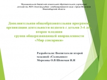 Дополнительная общеобразовательная программа организации деятельности педагога