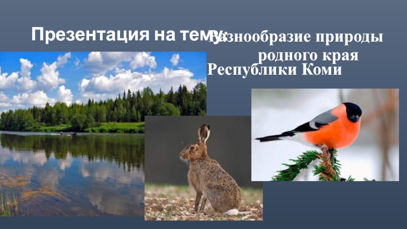 Разнообразие природы родного края Республики Коми 3 класс