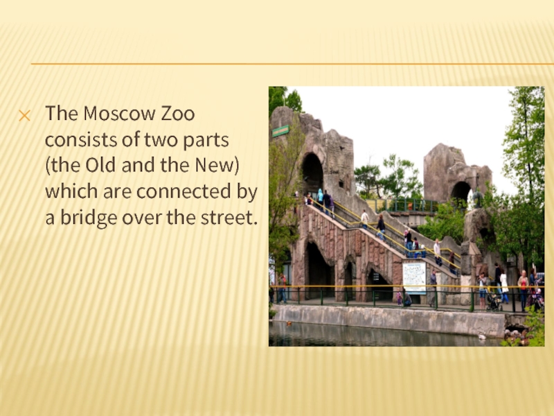 The Moscow Zoo consists of two parts (the Old and the New) which are connected by a