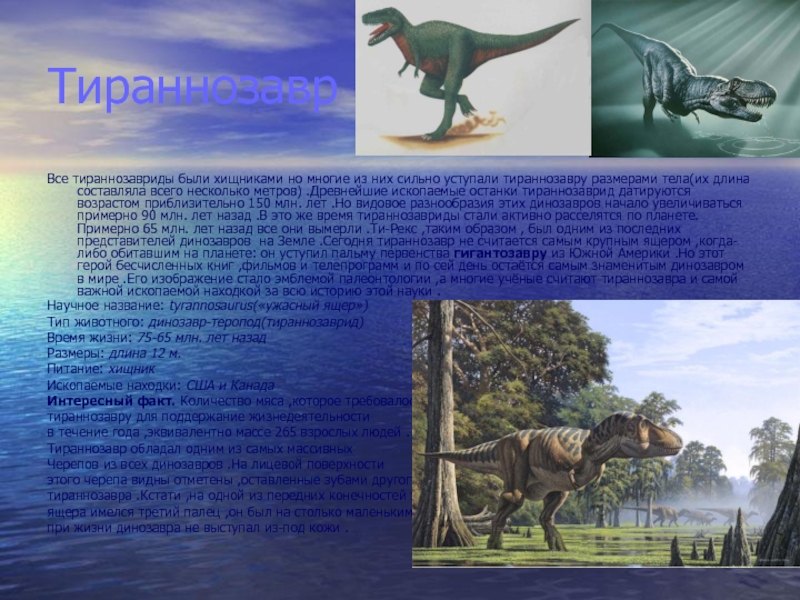ТираннозаврВсе тираннозавриды были хищниками но многие из них сильно уступали тираннозавру размерами тела(их длина составляла всего несколько