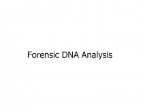 Forensic DNA Analysis